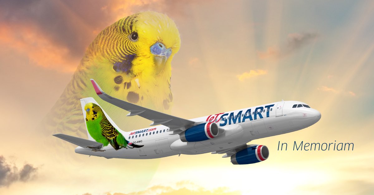 Gran jugada comercial: aerolínea lanzó atractiva oferta aprovechando el viral de ‘Chimuelo’