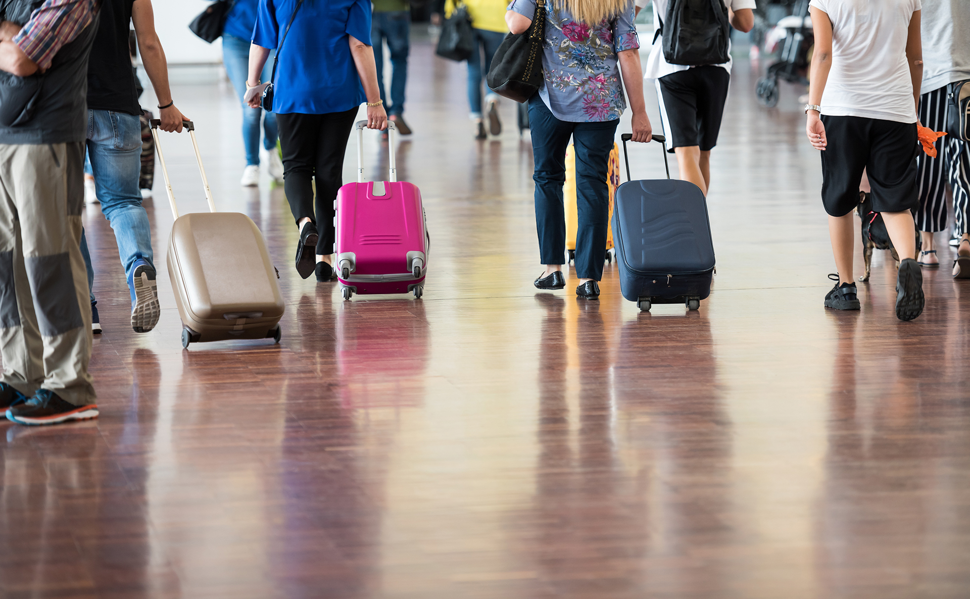 Esperan aumento de pasajeros en el Aeropuerto Internacional de Morelia