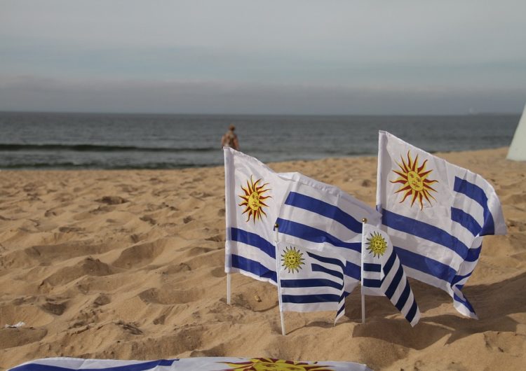 Uruguay: Hay aerolíneas que están interesadas en instalarse en el país, dice ministro