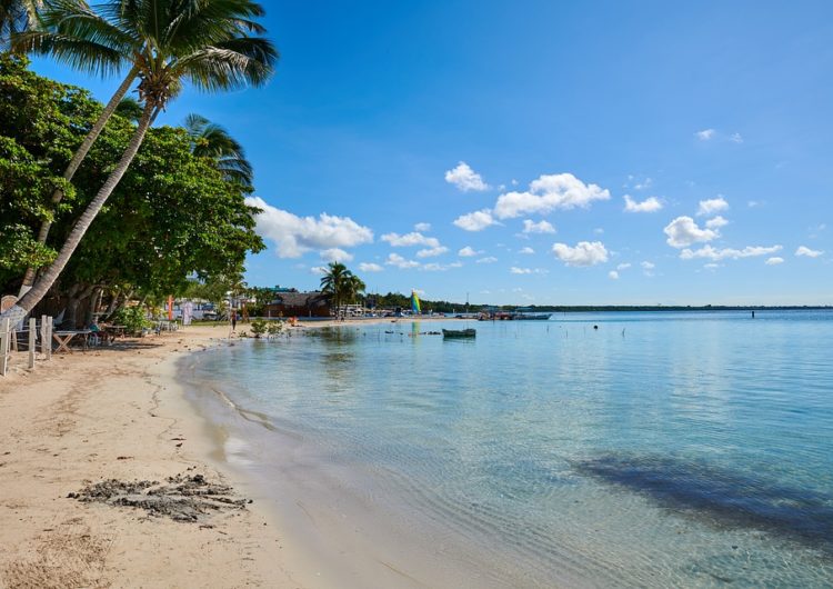 Se integra al WTTC la Asociación Nacional de Hoteles y Turismo de la República Dominicana