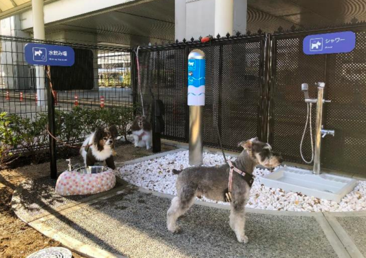 Aeropuerto de Japón instala baño para perros