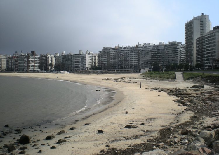 Montevideo traza hoja de ruta para recuperación del turismo