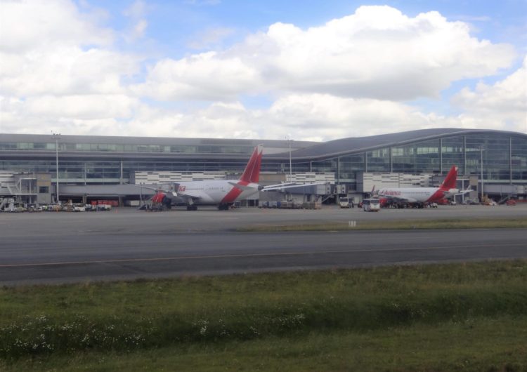 Avianca alerta por presencia de aves en Aeropuertos de Colombia