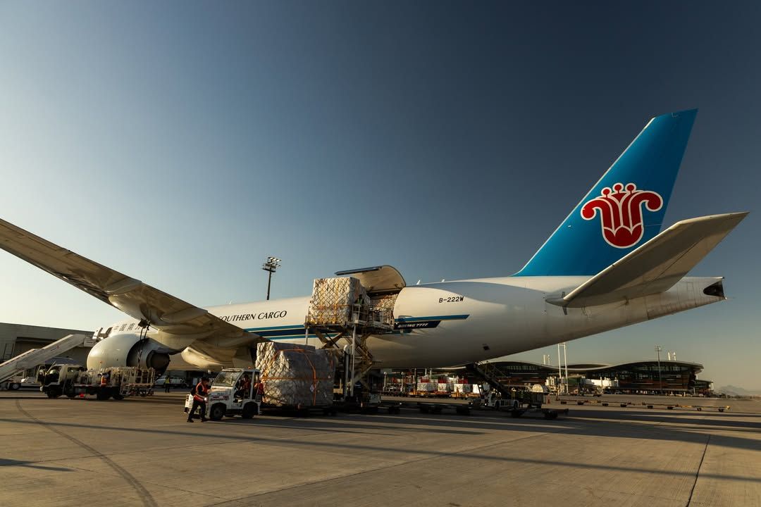 Aerolínea más grande de China potencia las exportaciones chilenas de salmón