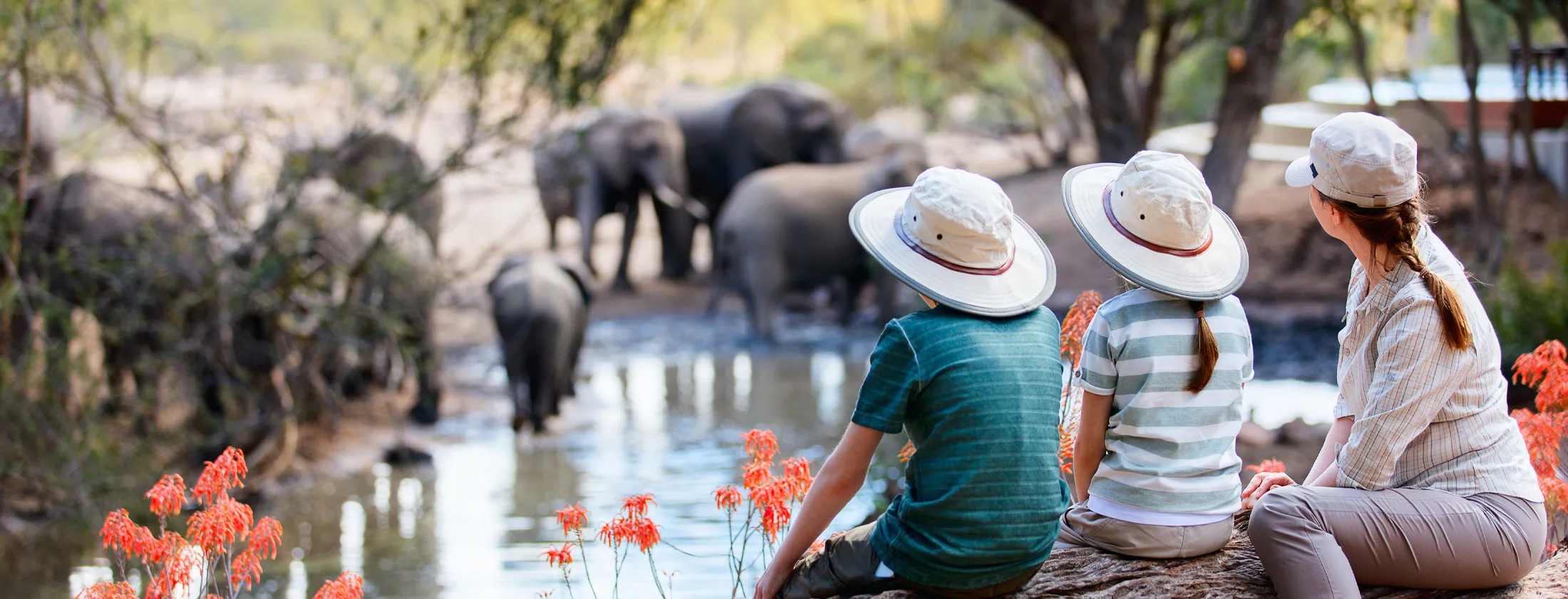 International Tourist Arrivals up 5% in the First Nine Months of 2025