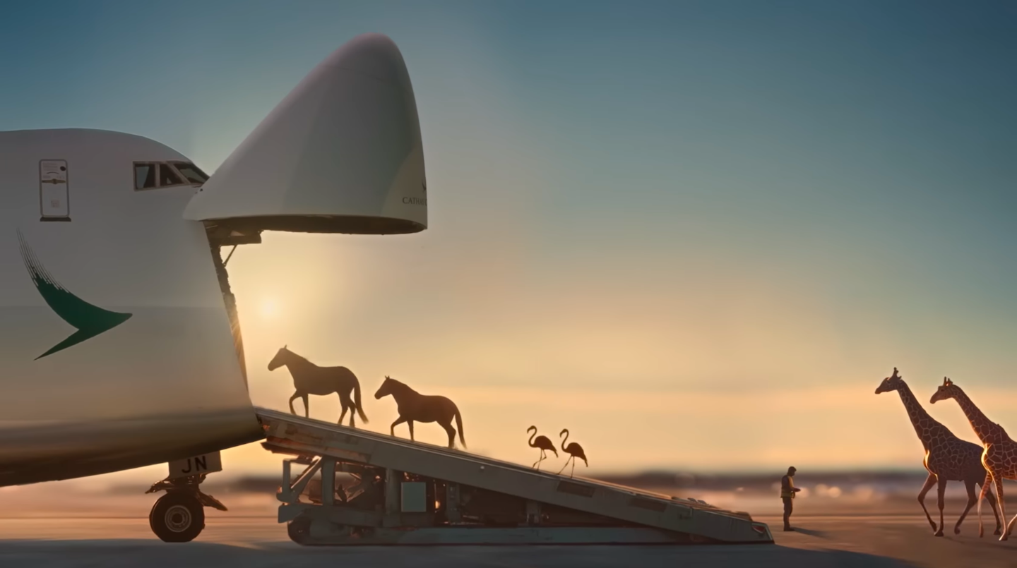 Un avión se convierte en el Arca de Noé para promocionar el servicio de transporte de animales de esta aerolínea