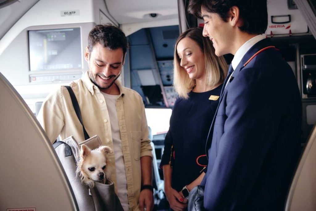 Iberia digitaliza el viaje con mascotas: ya se pueden añadir a la reserva directamente a través de su web